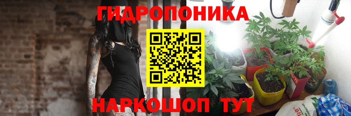 Бошки Шишки Amnesia Южно-Сахалинск